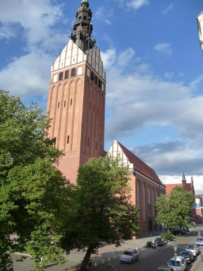 Kamienica Grand Starowka